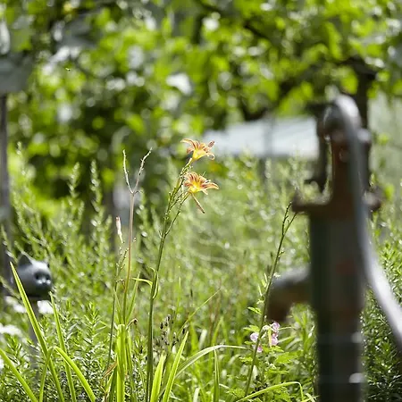 Апартаменты An Der Oelmuehle