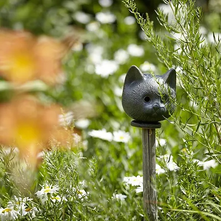 An Der Oelmuehle Апартаменты *