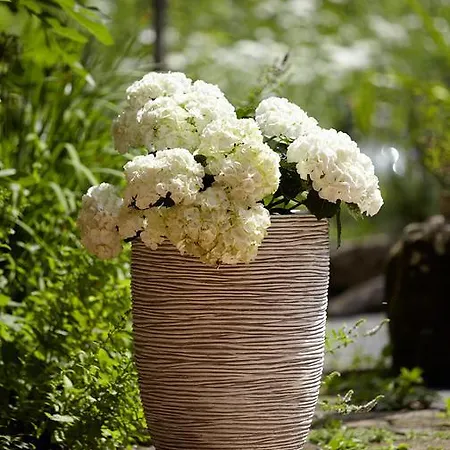 An Der Oelmuehle Апартаменты