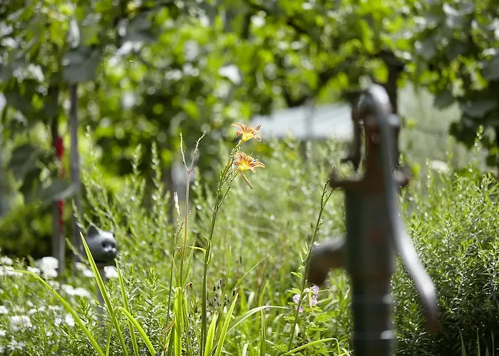 Apartment An der Ölmühle