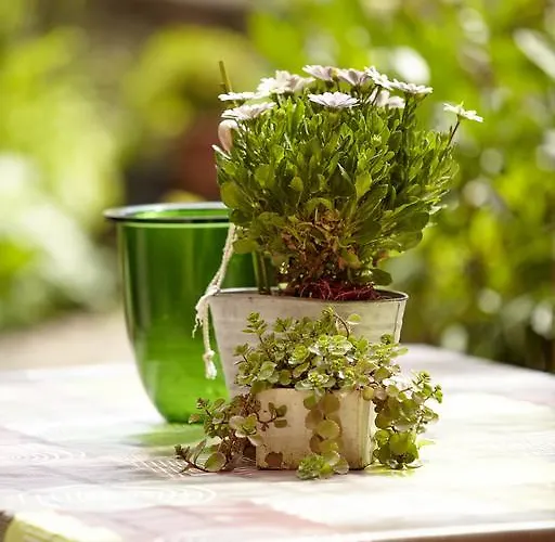 Apartment An der Ölmühle Kenn