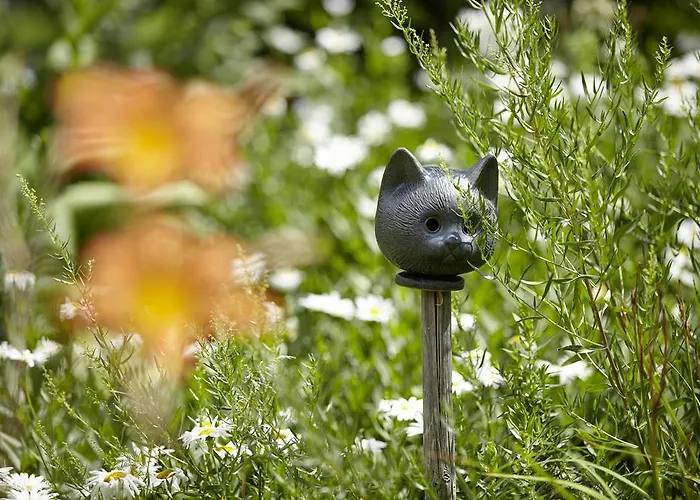 An der Ölmühle Apartment *